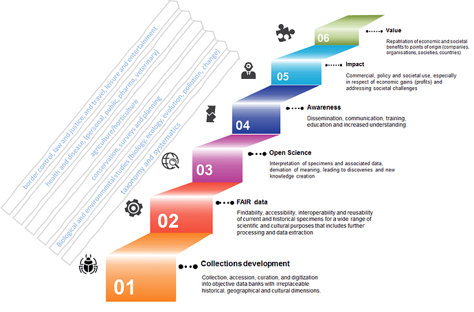 nscvaluechain